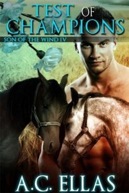 Test of Champions (Son of the Wind 4)