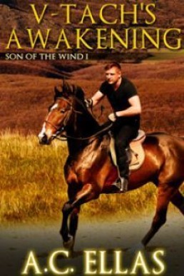 V-Tach's Awakening (Son of the Wind 1)