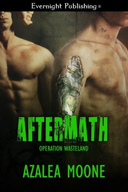 Aftermath (Operation Wasteland 1)