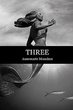 Three (Flashpoint Press)