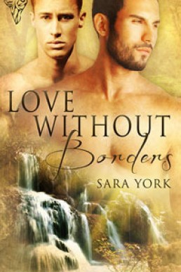 Love Without Borders (Healing Love 1)