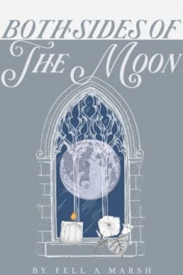 Both Sides of The Moon