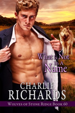 What is Not in a Name (Wolves of Stone Ridge 60)