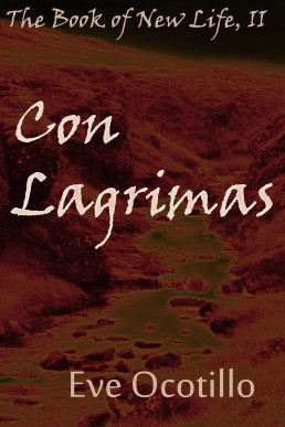 Con Lagrimas (The Book of New Life 2)