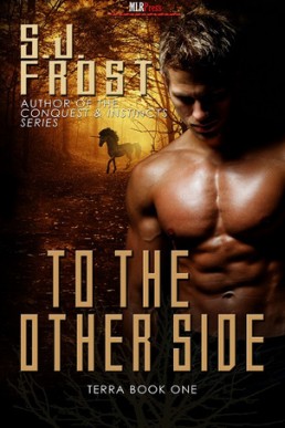 To the Other Side (Terra 1)