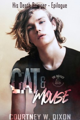 Cat & Mouse (The District 1.1)