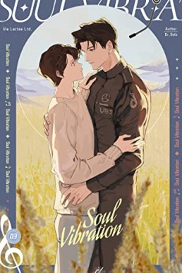 Soul Vibration: 灵魂骚动 Vol. 3 (English Edition) (Soul Vibration Series)