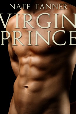 Virgin Prince: A Gay Bondage Fantasy
