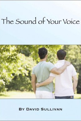 Sound of Your Voice (2nd Ed., 2011)