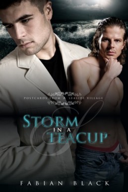 Storm in a Teacup (Postcards from a Seaside Village 2)