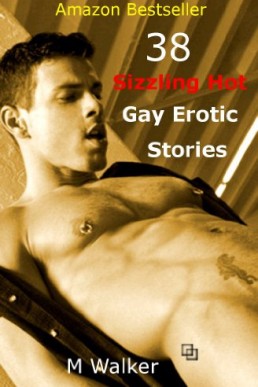 38 Sizzling Hot Gay Erotic Stories (Boxed Set)