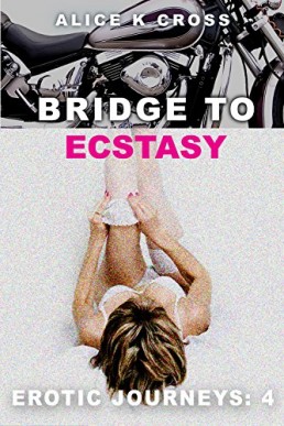Bridge to Ecstasy (Lissa and Sam 1)