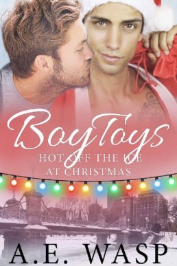 Boy Toys (Hot Off the Ice 4)