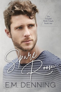 Spare Room (The Trouble With Triads #1)