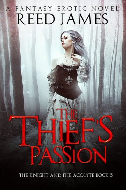 The Thief's Passion (The Knight and the Acolyte Book 3): (A Fantasy Erotic Novel)