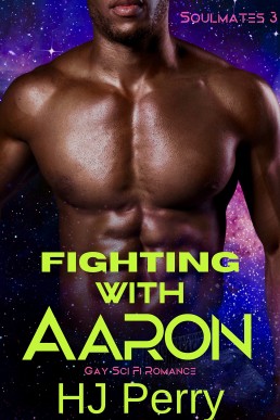 Fighting With Aaron (Soulmates #3)