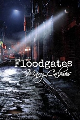 Floodgates (2nd Ed. 2023)