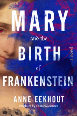 Mary and the Birth of Frankenstein: A Novel