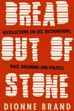Bread Out of Stone: Recollections, Sex, Recognitions, Race, Dreaming, Politics