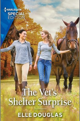 The Vet's Shelter Surprise