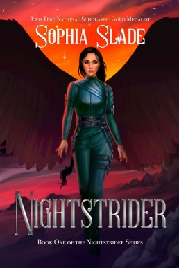 Nightstrider : Book One of the Nightstrider Series