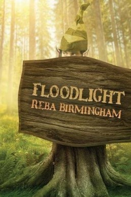 Floodlight (Hercynian Forest #1)