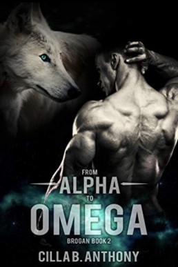 From Alpha to Omega (Brogan 2)