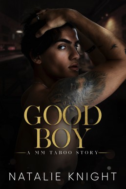 Good Boy (A MM Taboo Story Book 1)