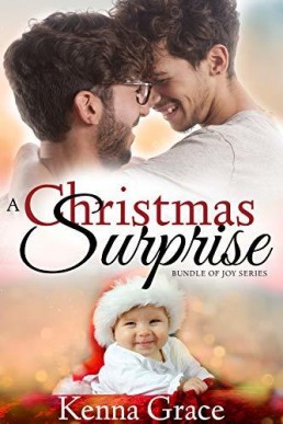A Christmas Surprise (Bundle of Joy 3)