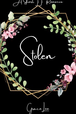 Stolen (Undercover Love Book 5)