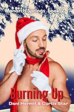 Burning Up (Monarch Springs 2)