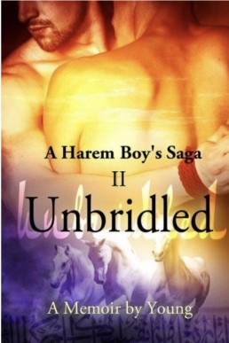 Unbridled (Harem Boy's Saga 2)