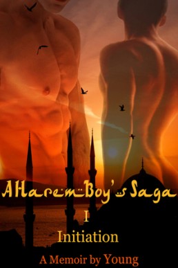 Initiation (Harem Boy's Saga 1)