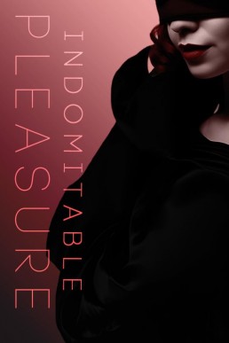My Indomitable Pleasure: Indomitable Desires Series Book 2