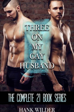 Three on My Gay Husband: The Complete 21 Book Series