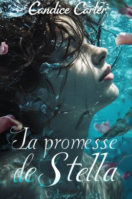 La promesse de Stella (French Edition)