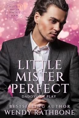 Little Mister Perfect (Little Mister Perfect 1)