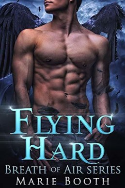 Flying Hard (Santa Cruz Shifters 1)