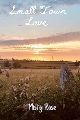 Small Town Love