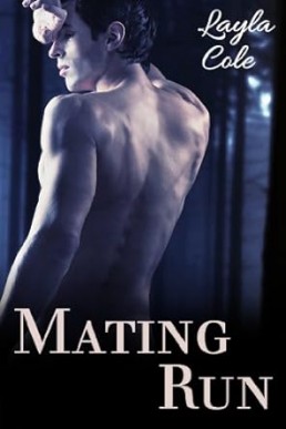 Mating Run (Gay Werewolves)