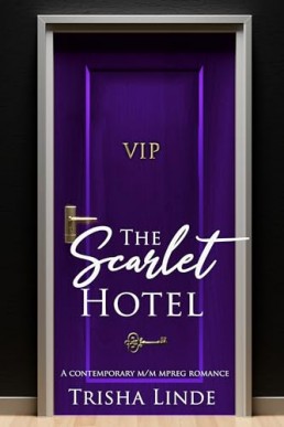 VIP (The Scarlet Hotel 11)