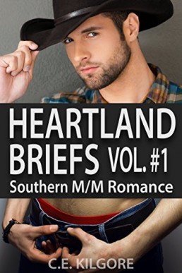 Heartland Briefs Vol. #1