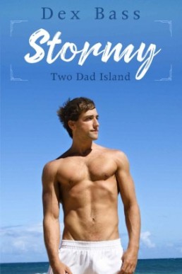 Stormy (Two Dad Island Book 1)