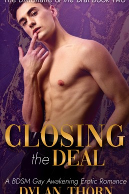 Closing the Deal: A BDSM Gay Awakening Erotic Romance