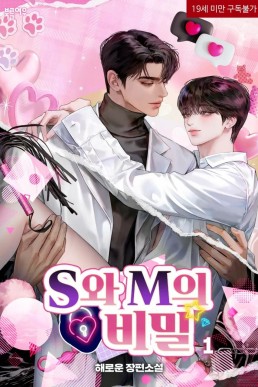 Secrets above S and M Vol. 1 (English translation)