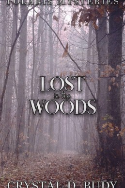 Lost in the Woods (Polaris Mysteries Book 3)