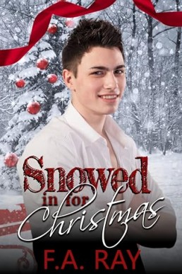 Snowed in for Christmas