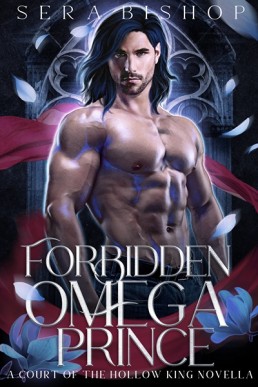Forbidden Omega Prince (Court of the Hollow King Novella)