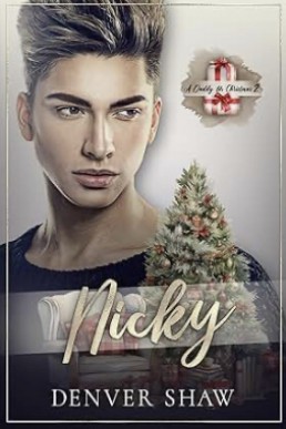 Nicky (A Daddy for Christmas 2)