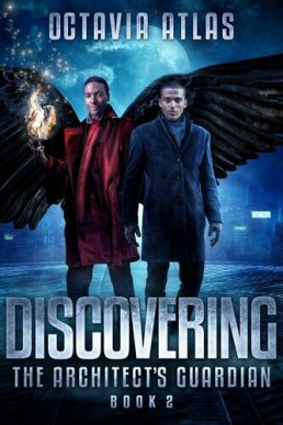 Discovering (The Architect's Guardian 2)